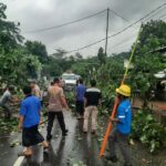 Pohon Tumbang Blokade Jalan Raya Sekotong, Polisi Gerak Cepat!