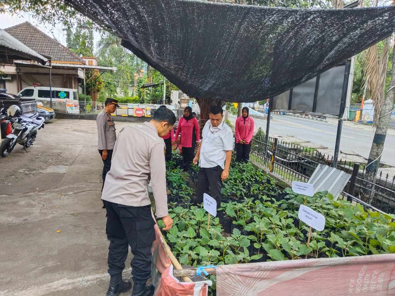 Polsek KP3 Lembar Launching Program P2L, Dukung Ketahanan Pangan!