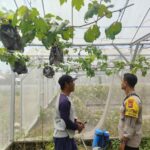 Ketahanan Pangan: Kisah Sukses Warga Lombok Barat Manfaatkan Pekarangan