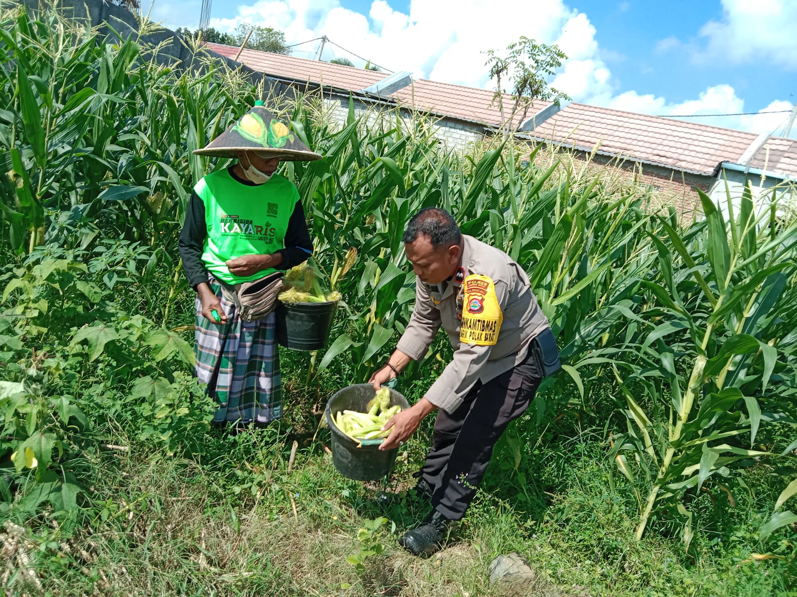Bhabinkamtibmas Desa Bagik Polak Barat Ajak Petani Jagung Maju, Dukung Ketahanan Pangan