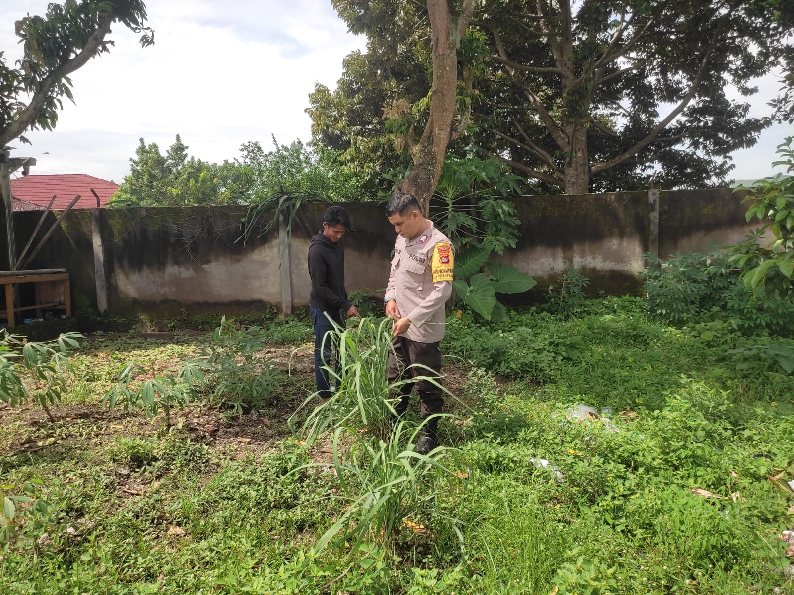 Ketahanan Pangan Lombok Barat: Peran Aktif Bhabinkamtibmas di Desa
