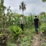 Bhabinkamtibmas Labuapi Dorong Petani, Ini yang Dilakukannya