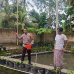 Ketahanan Pangan Kuripan: Bukti Nyata Bakti Bhabinkamtibmas