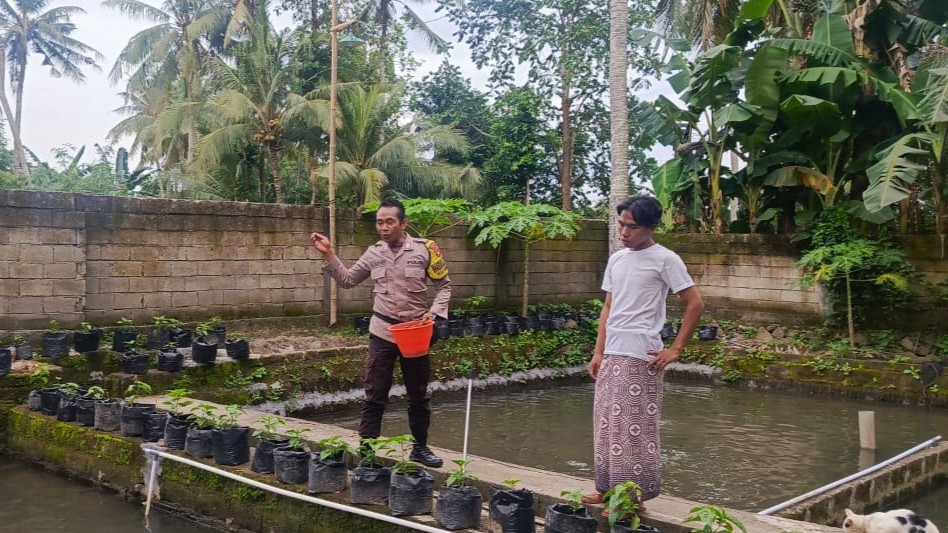 Ketahanan Pangan Kuripan: Bukti Nyata Bakti Bhabinkamtibmas