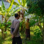 Ketahanan Pangan, Polisi Motivasi Warga Manfaatkan Pekarangan Rumah di Desa Perampuan