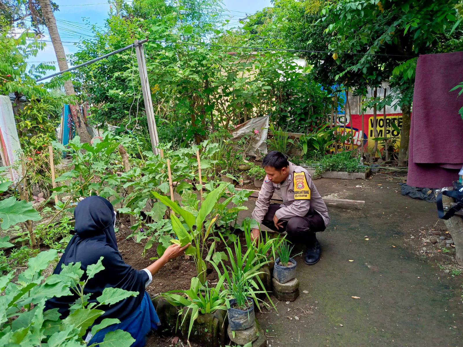 Ketahanan Pangan: Polisi Bantu Warga Optimalkan Pekarangan Rumah