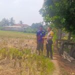 Polsek Kuripan Lombok Barat Edukasi Petani Soal Swasembada Pangan, Apa Hasilnya