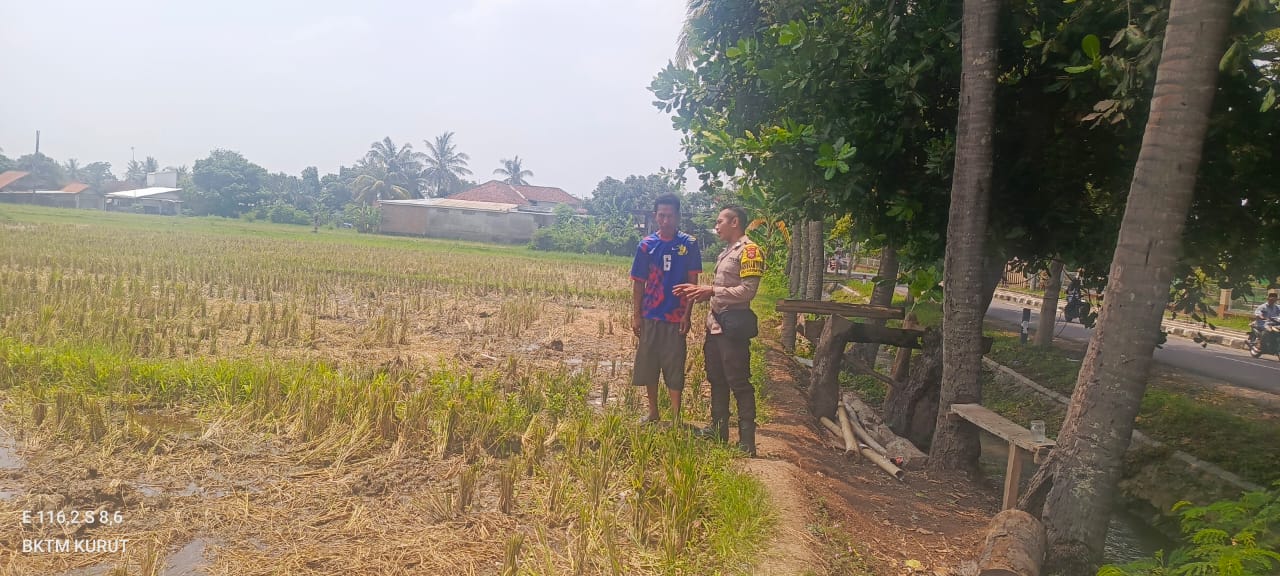Polsek Kuripan Lombok Barat Edukasi Petani Soal Swasembada Pangan, Apa Hasilnya