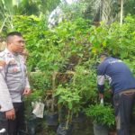 Polsek Kuripan Turun ke Lapangan, Gerakkan Warga Wujudkan Ketahanan Pangan