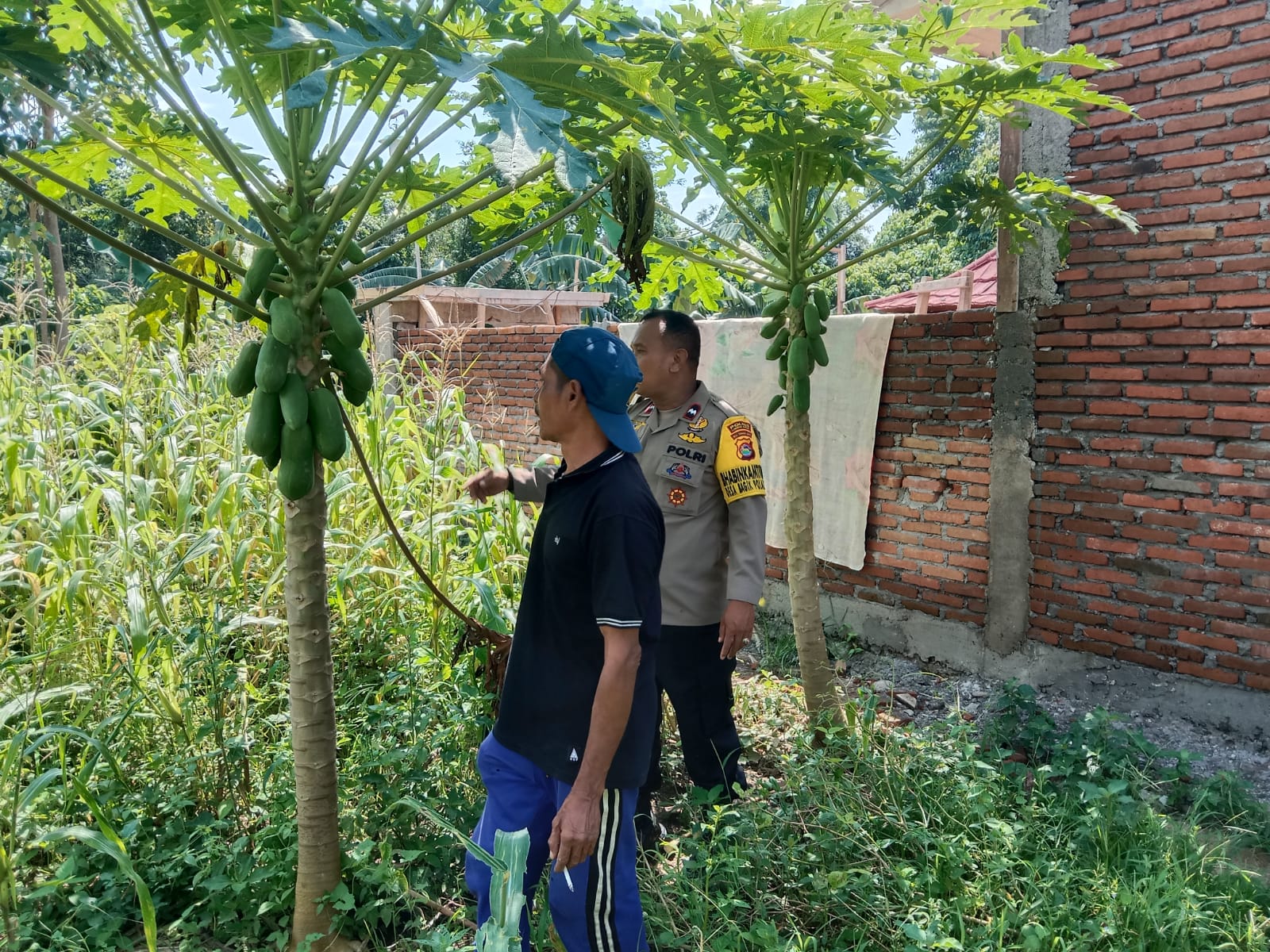 Polisi dan Petani Bersinergi, Ketahanan Pangan Jadi Prioritas!
