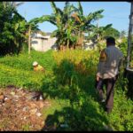Bhabinkamtibmas Karang Bongkot Turun ke Sawah, Dukung Petani Maju!