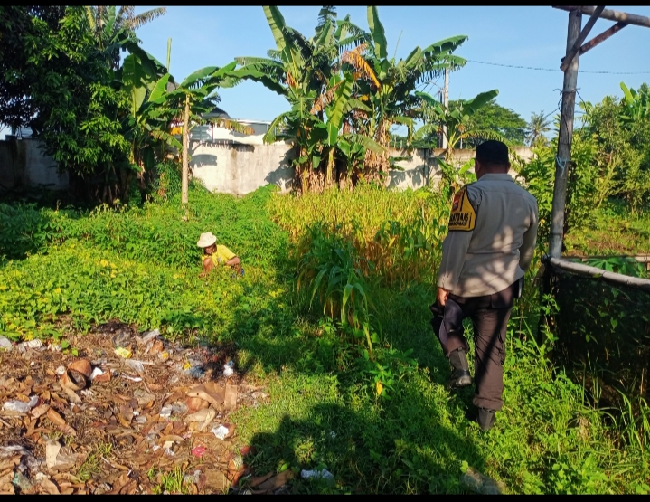 Bhabinkamtibmas Karang Bongkot Turun ke Sawah, Dukung Petani Maju!
