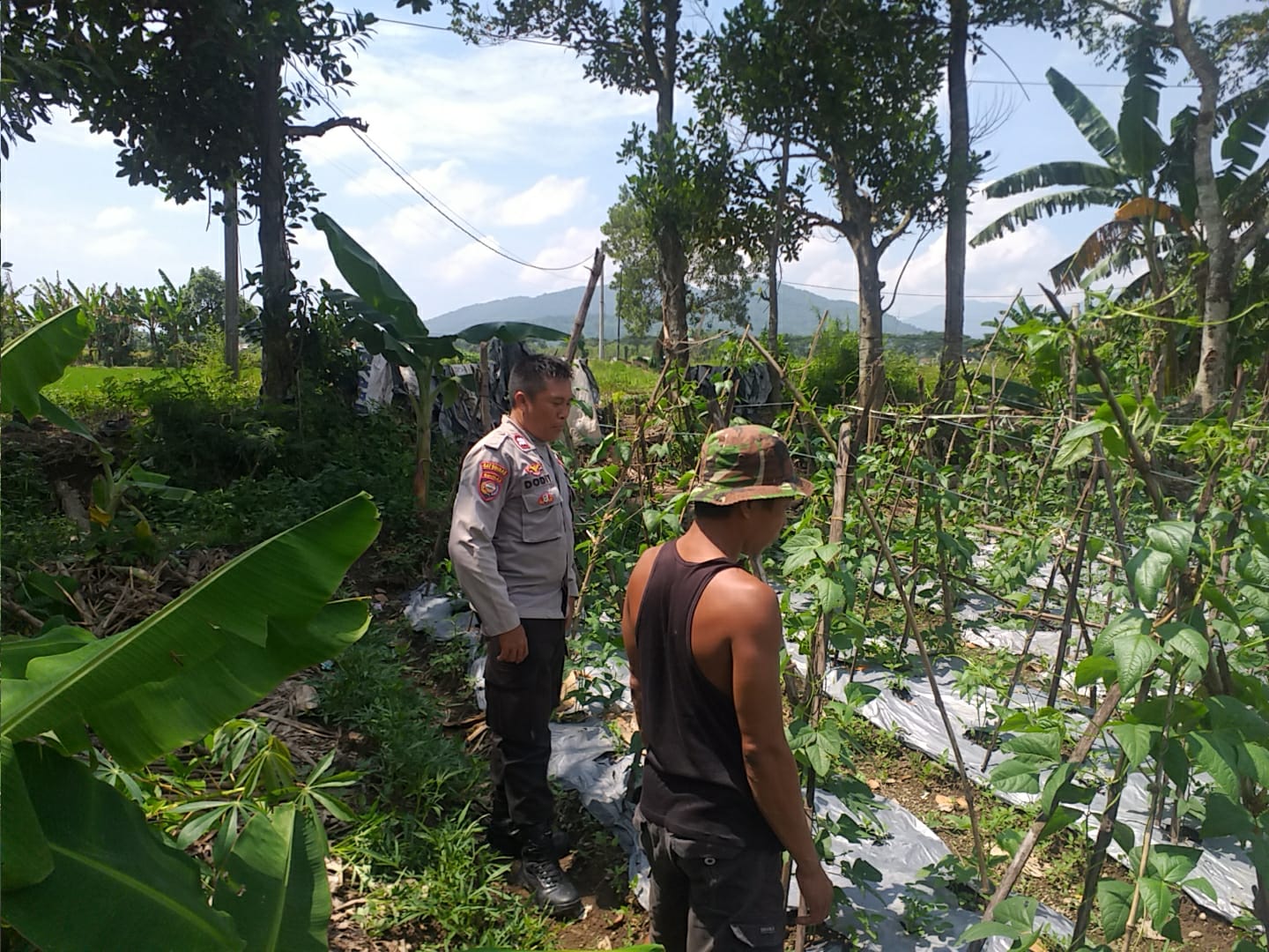Polsek Kuripan Dorong Ketahanan Pangan, Warga Antusias!