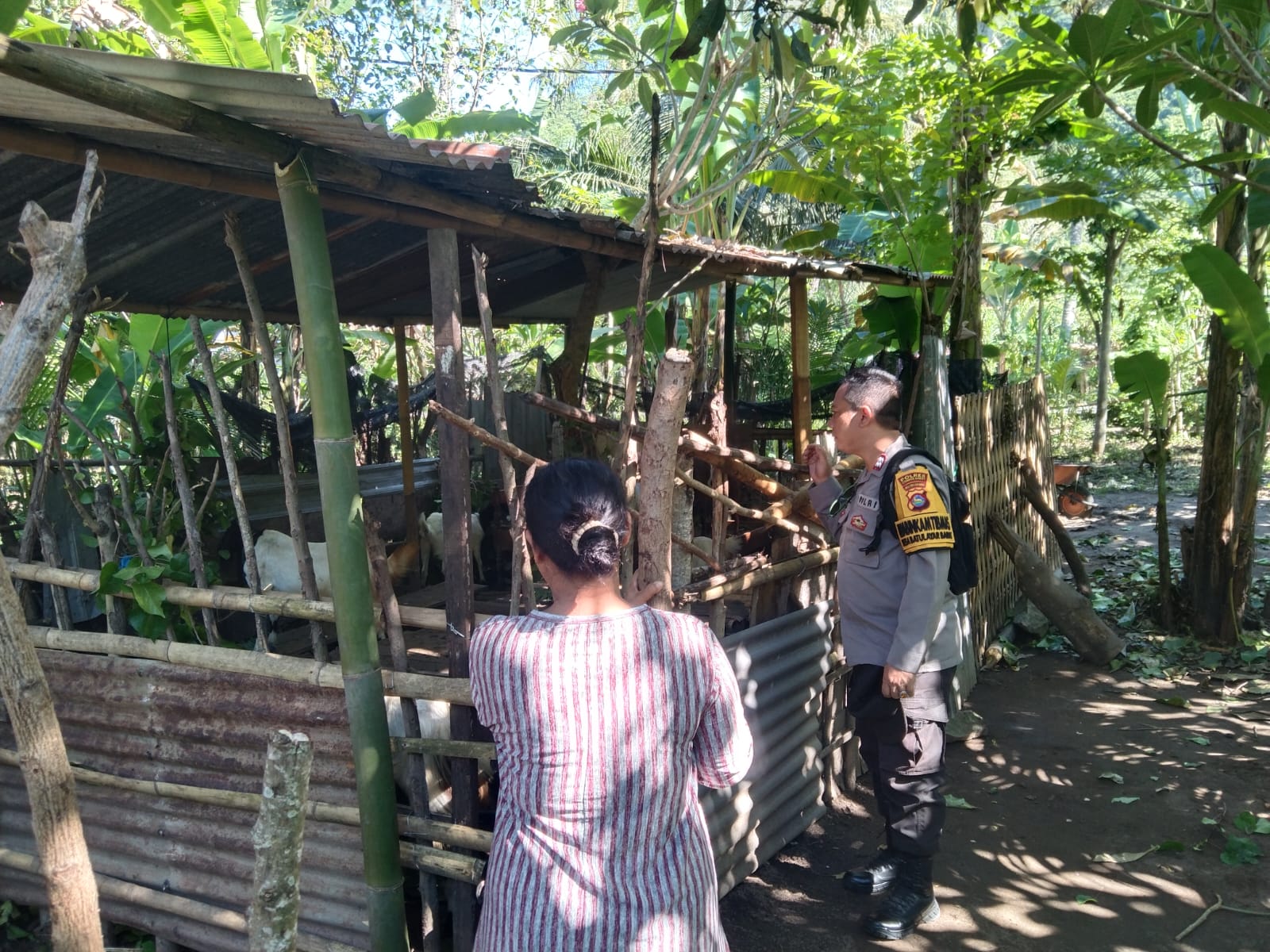 Optimalisasi Pekarangan untuk Ketahanan Pangan: Inisiatif Polri di Lombok Barat