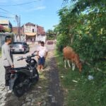 Sosialisasi Pangan Sehat: Bhabinkamtibmas Ajak Warga Tanam Sayur
