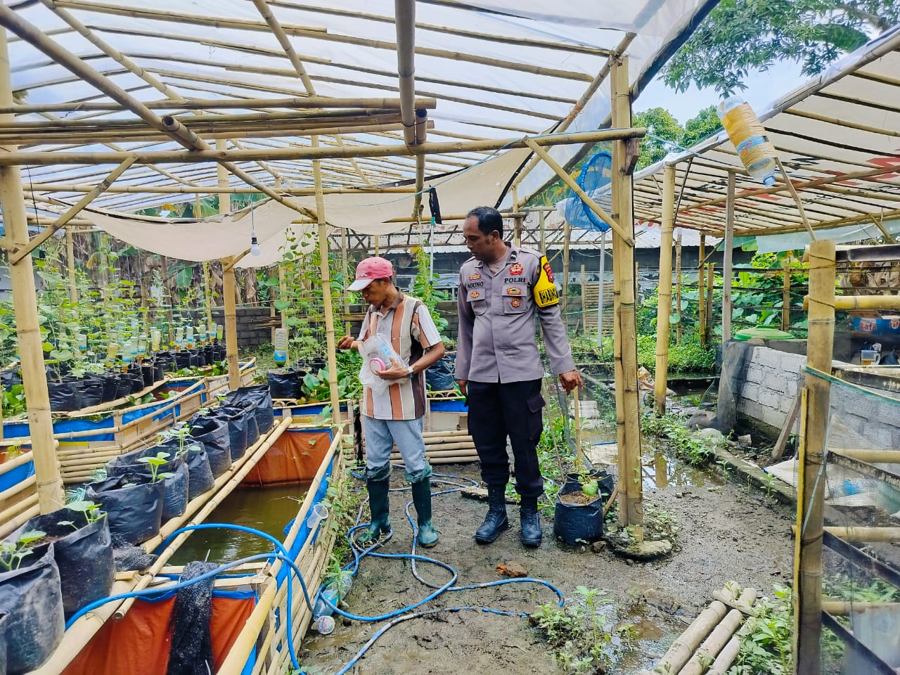 Polri Terlibat Aktif dalam Ketahanan Pangan Nasional melalui Kegiatan Sambang di Lombok Barat