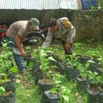 Bhabinkamtibmas Desa Batulayar Dukung Ketahanan Pangan Warga