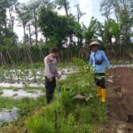 Bhabinkamtibmas Desa Jagaraga Aktif Sosialisasi Ketahanan Pangan, Warga Antusias Menyambut