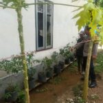 Polri dan Warga Bangun Ketahanan Pangan Lewat Pekarangan Rumah di Sekotong