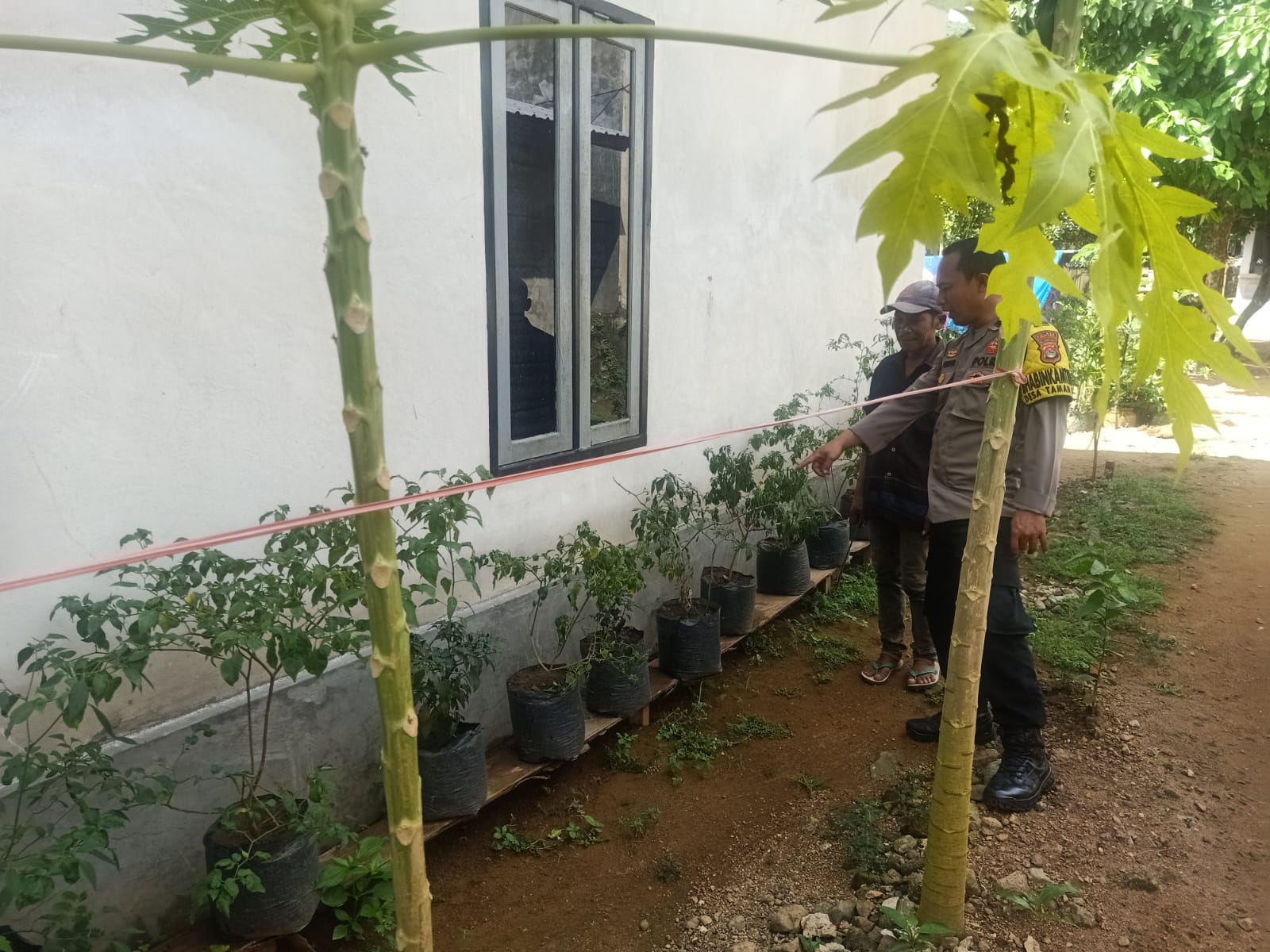 Polri dan Warga Bangun Ketahanan Pangan Lewat Pekarangan Rumah di Sekotong