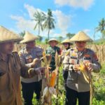 Kapolres Lombok Barat Hadiri Panen Raya Jagung, Sinergi Polri dan Petani Jaga Ketahanan Pangan