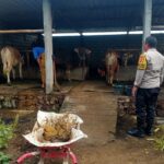 Dekatkan Diri ke Warga, Bhabinkamtibmas Dorong Usaha Ternak