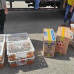 Truk Bermuatan Burung Tanpa Izin Dicegat Menuju Bali di Lombok Barat