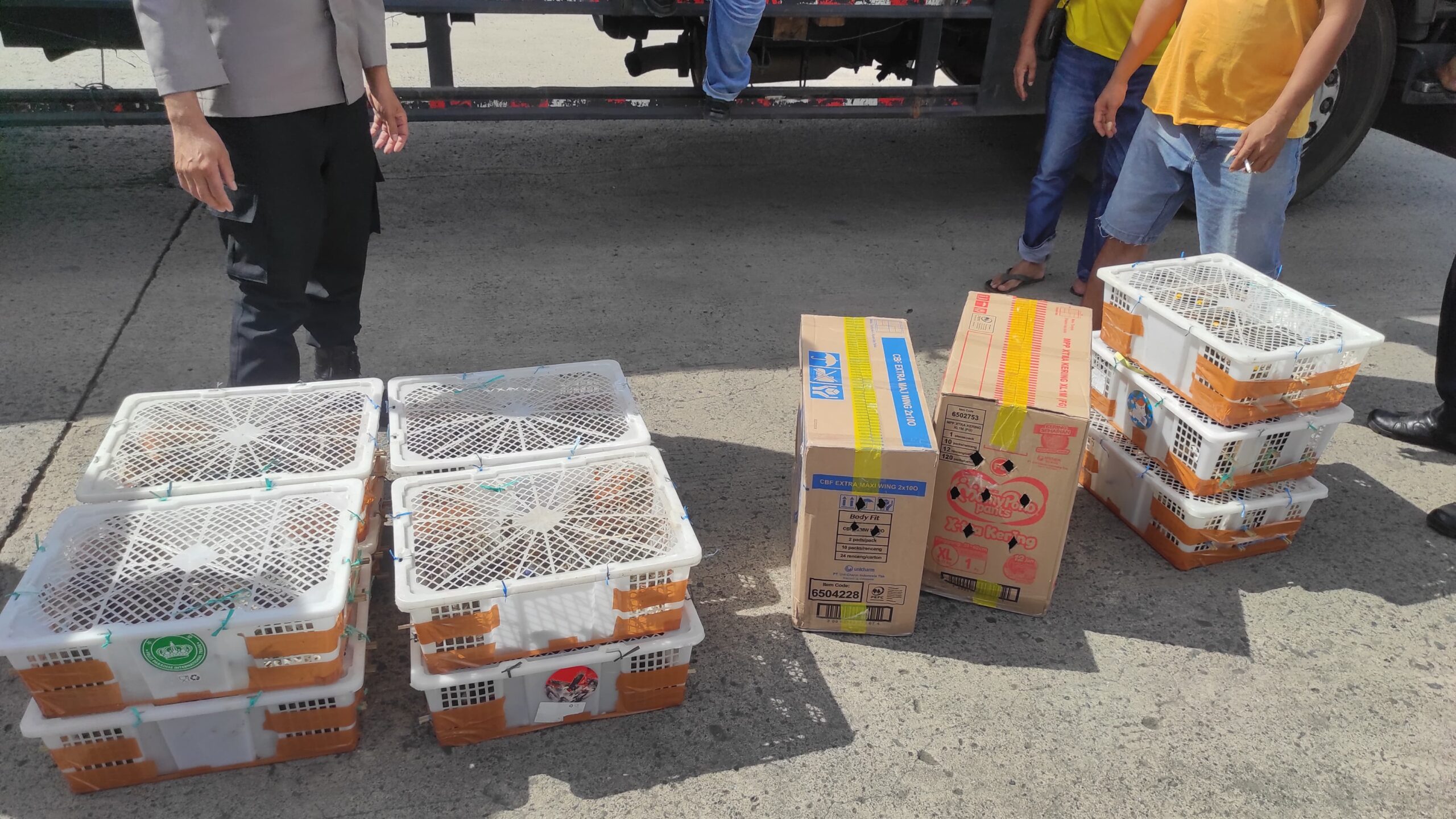 Truk Bermuatan Burung Tanpa Izin Dicegat Menuju Bali di Lombok Barat