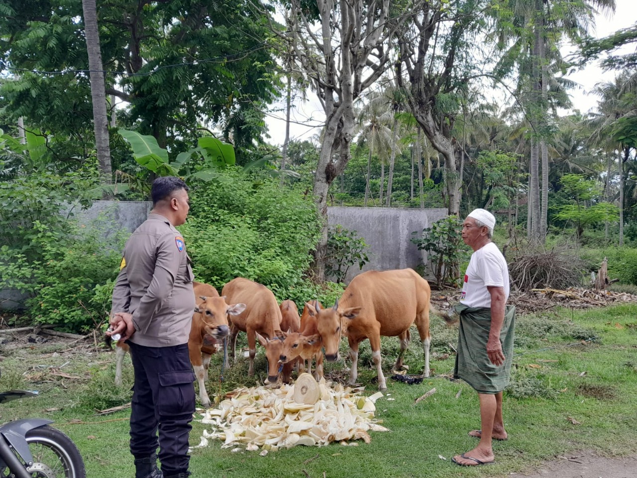 Ketahanan Pangan NTB Menguat: Sinergi Polisi & Warga di Lombok Barat Berbuah Positif