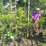 Sinergi Polisi dan Warga Lombok Barat Wujudkan Program Ketahanan Pangan