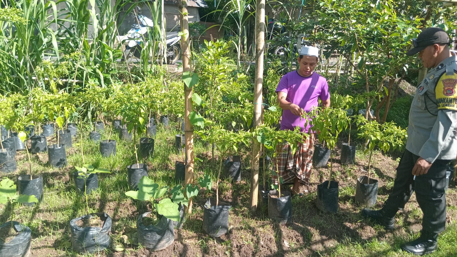 Sinergi Polisi dan Warga Lombok Barat Wujudkan Program Ketahanan Pangan