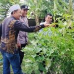 Langkah Nyata Polri Bangun Kemandirian Pangan