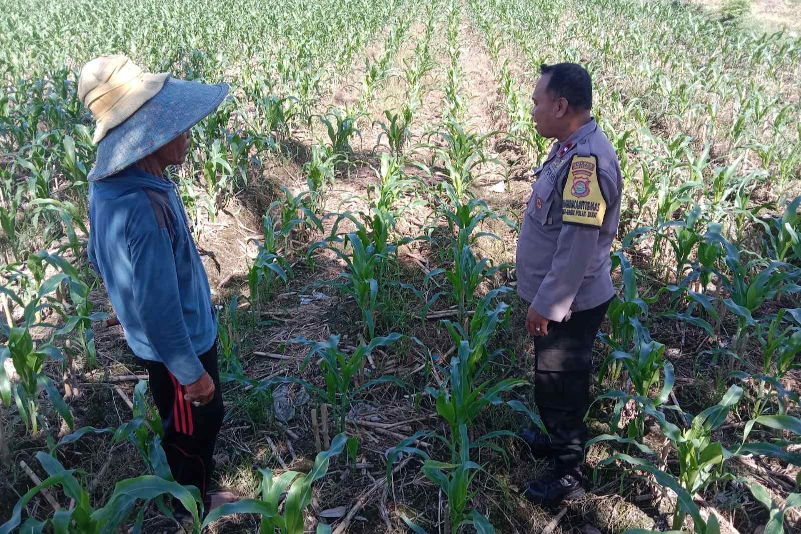 Bhabinkamtibmas Desa Bagik Polak Barat Dorong Kemandirian Pangan
