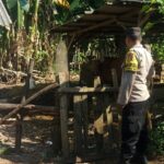 DDS Bhabinkamtibmas Sekotong: Sinergi Polri dan Masyarakat untuk Ketahanan Pangan