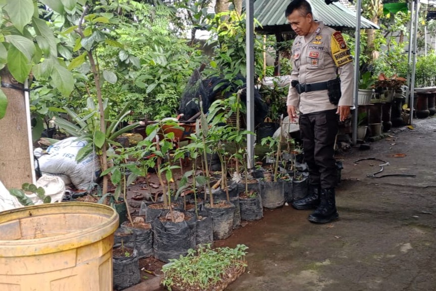 Bhabinkamtibmas Desa Terong Tawah Galakkan Ketahanan Pangan di Desa