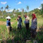Bhabinkamtibmas Desa Giri Tembesi Berikan Motivasi dan Saran Pertanian kepada Petani