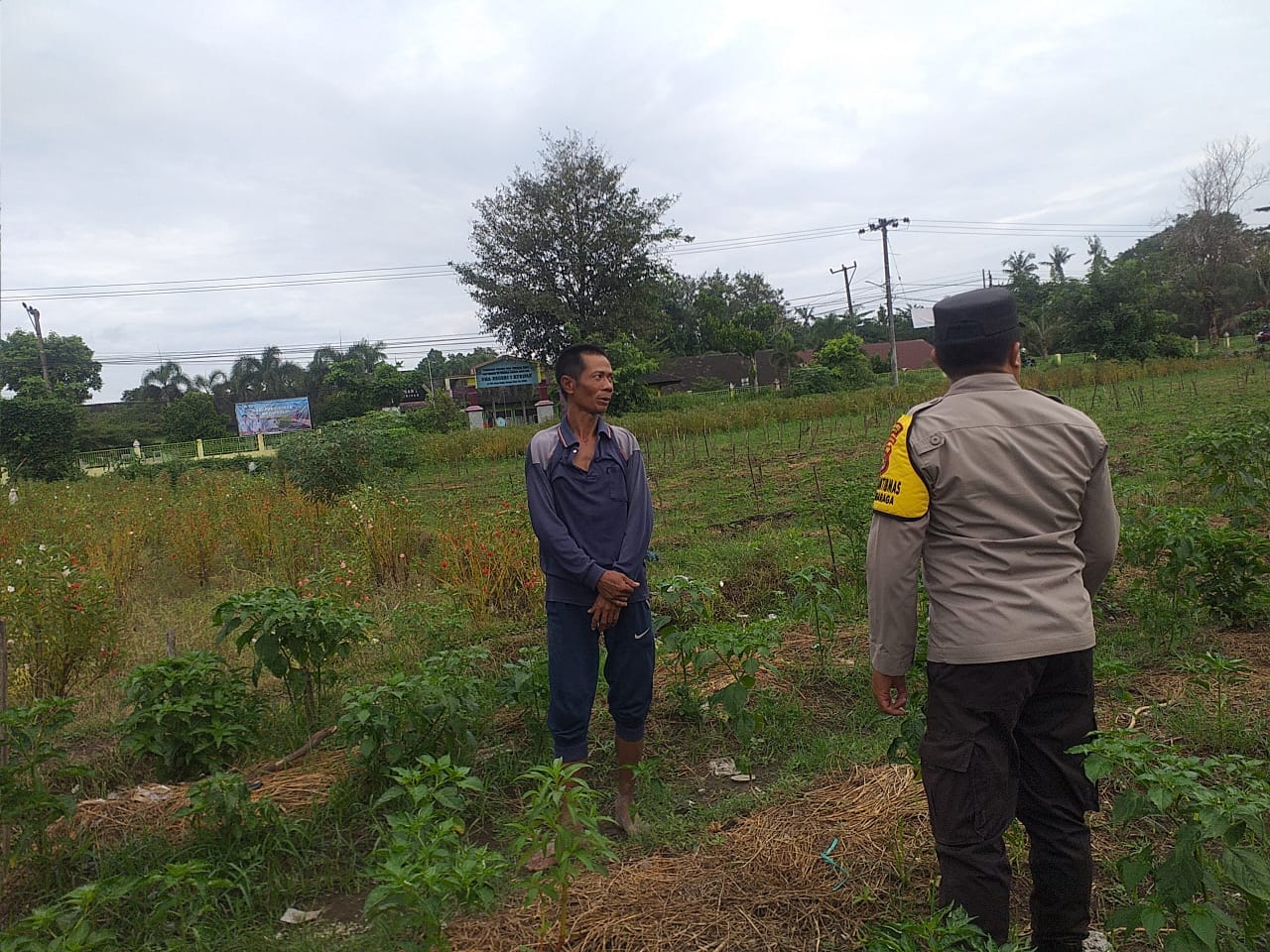 Maksimalkan Lahan Produktif: Polri Ajak Warga Desa Jagaraga Dukung Ketahanan Pangan