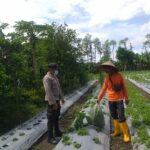 Bhabinkamtibmas Desa Jagaraga Ajarkan Warga Pemanfaatan Lahan untuk Ketahanan Pangan