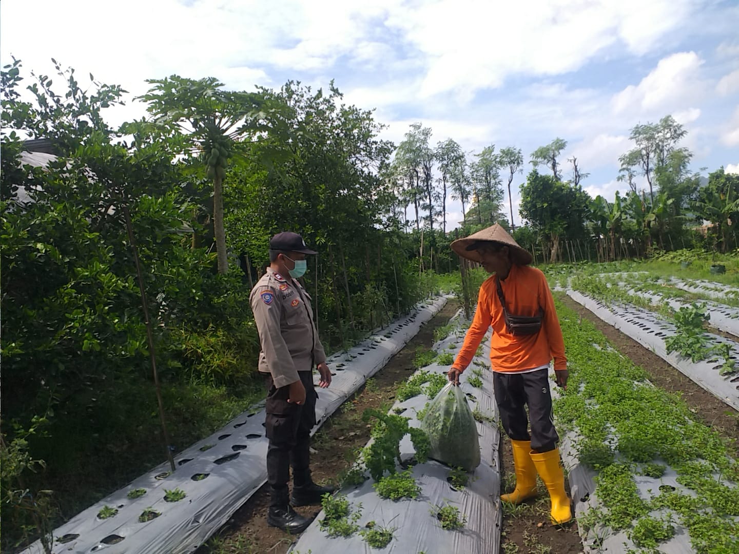 Bhabinkamtibmas Desa Jagaraga Ajarkan Warga Pemanfaatan Lahan untuk Ketahanan Pangan