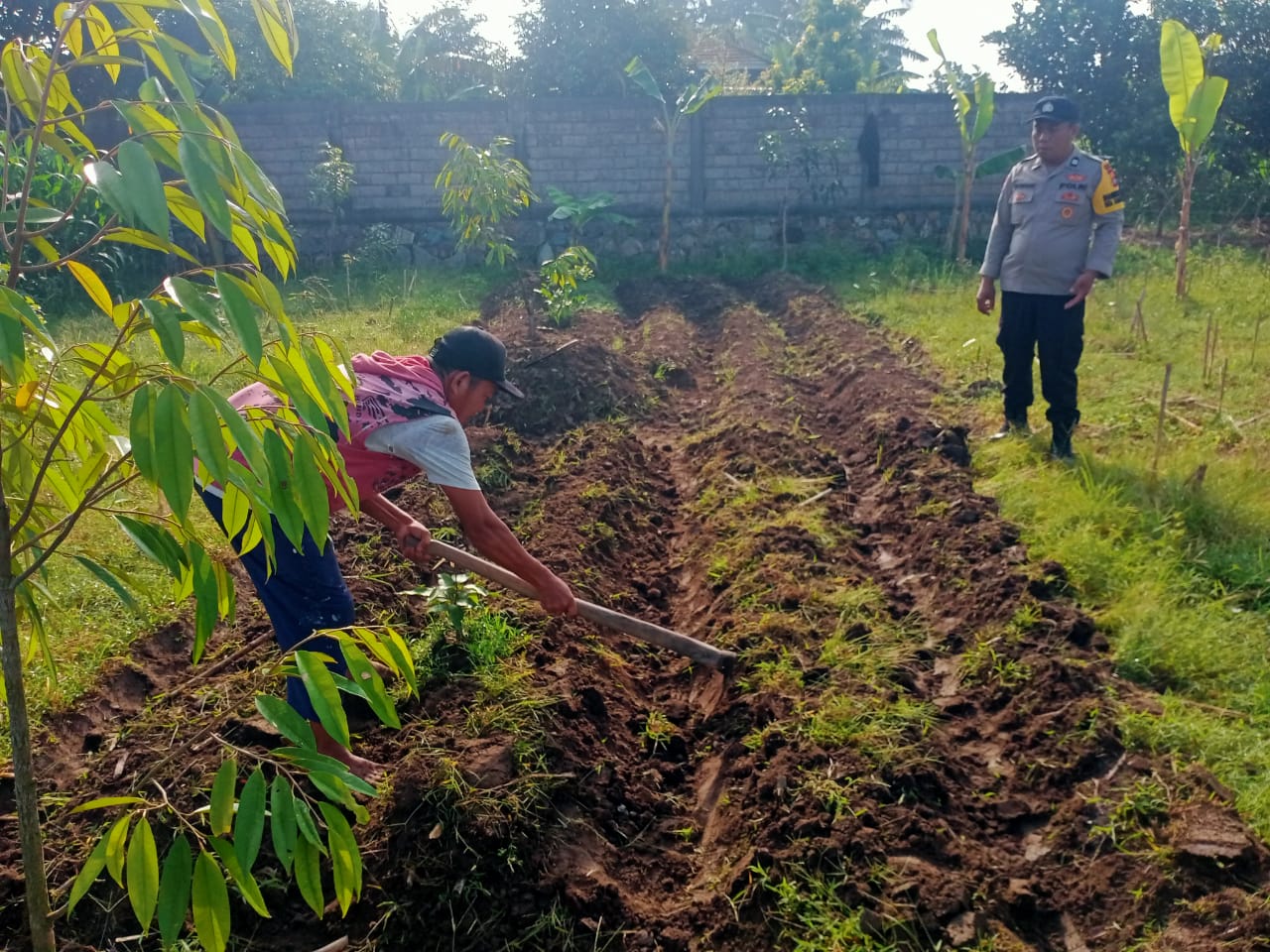 Polsek Labuapi Dukung Program Ketahanan Pangan Melalui Bhabinkamtibmas