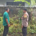 Dukung Ketahanan Pangan, Warga Desa Kuranji Dalang Tanam Sayuran di Pekarangan