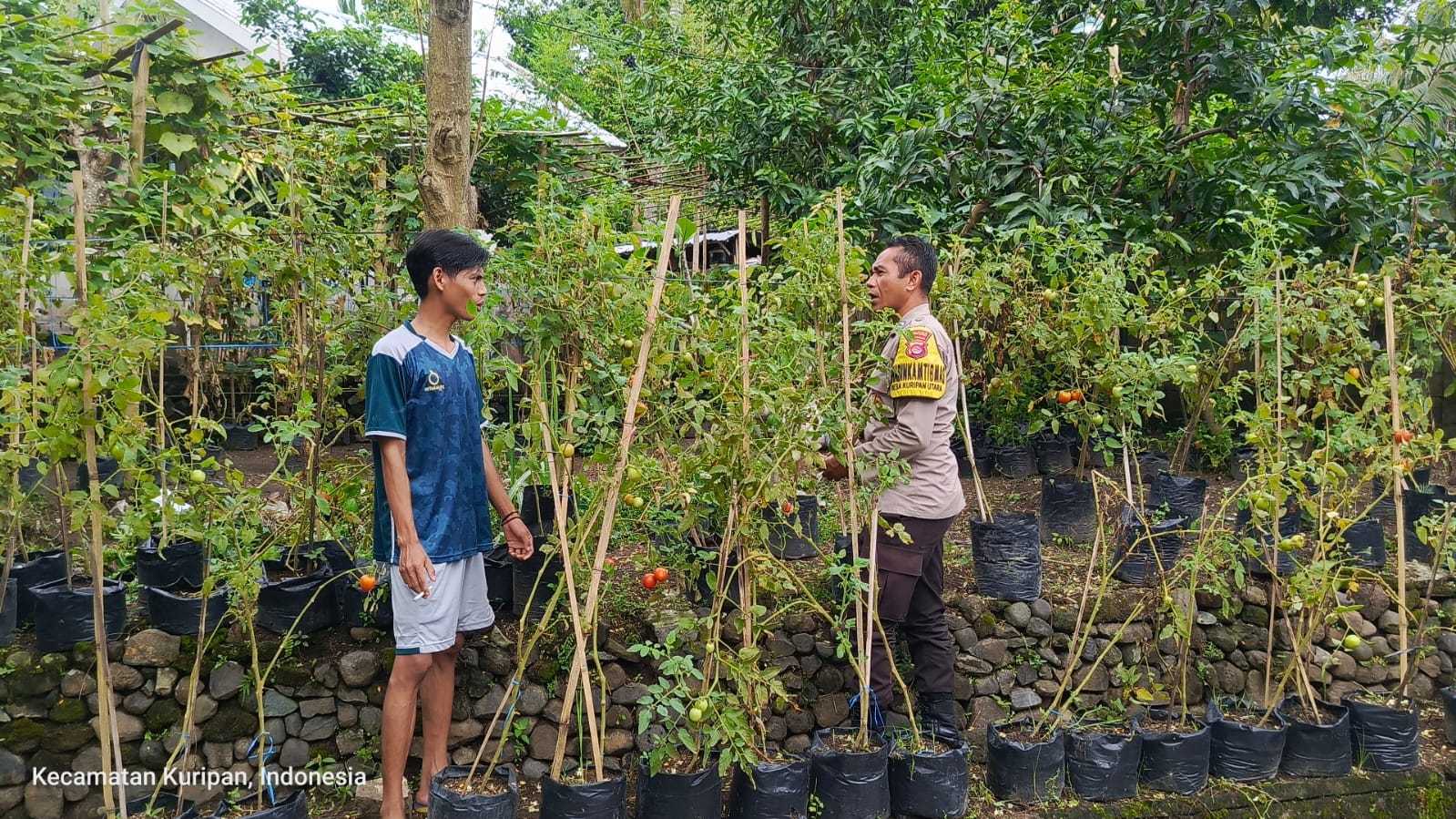 Peran Aktif Polisi dan Pemuda dalam Wujudkan Ketahanan Pangan Lokal