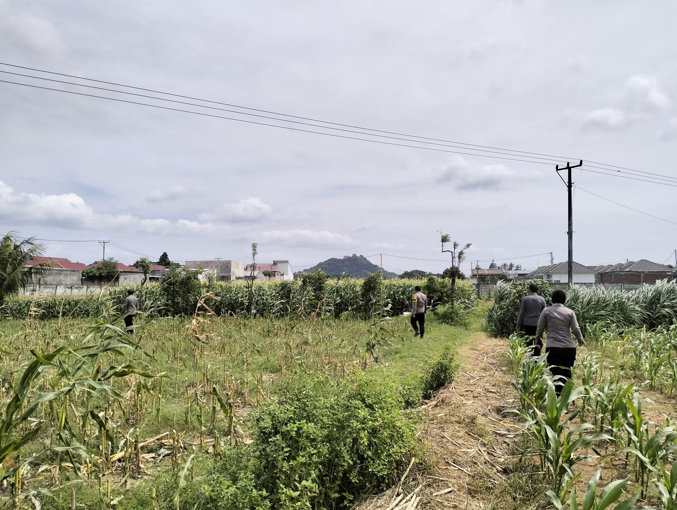 DDS Bhabinkamtibmas: Pendekatan Humanis Jaga Kamtibmas dan Pangan
