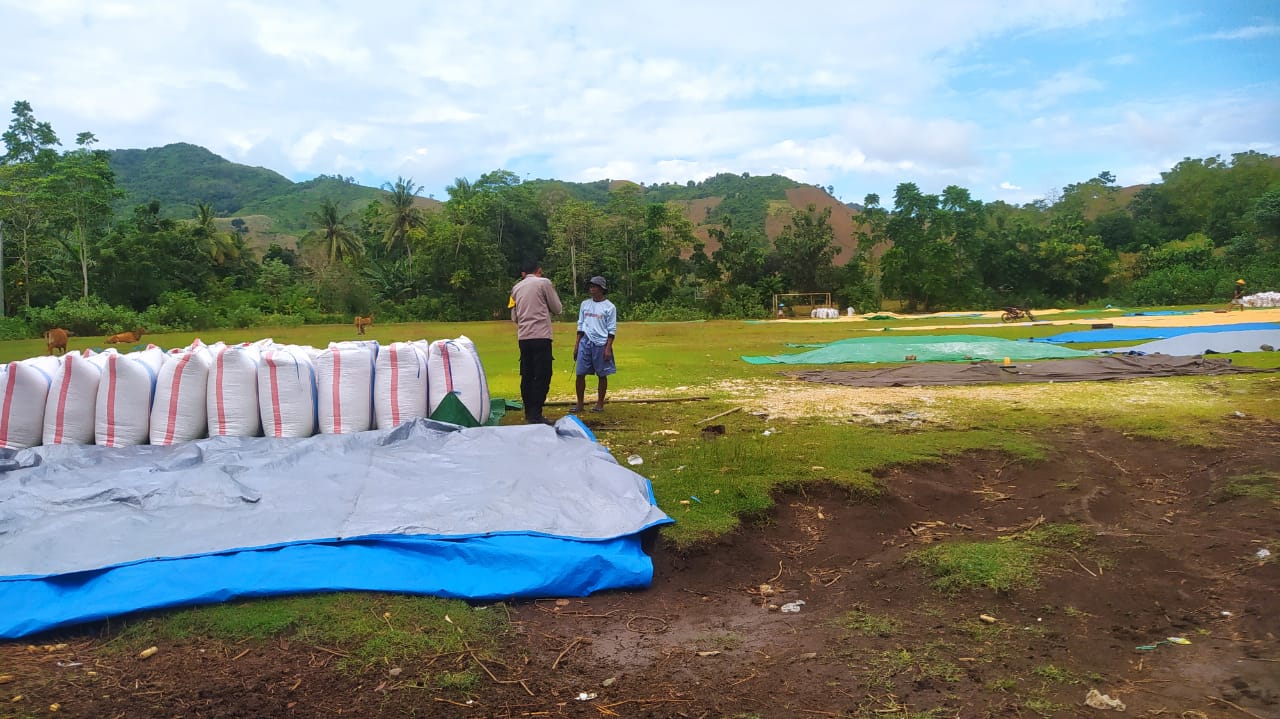 DDS Bhabinkamtibmas: Upaya Nyata Dukung Program Pangan