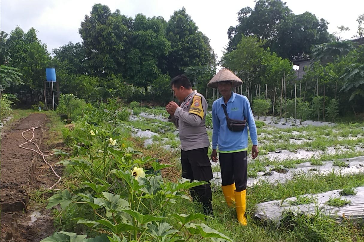 Optimalisasi Lahan untuk Ketahanan Pangan: Langkah Nyata Polri di Lombok Barat