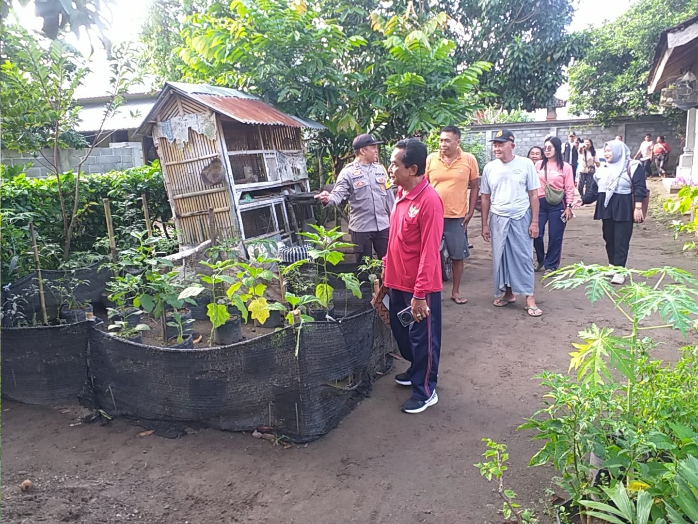 Program Ketahanan Pangan Digencarkan di Desa Jagaraga