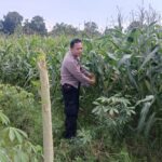 Silaturahmi Kamtibmas dan Pangan: Peran Polisi di Desa