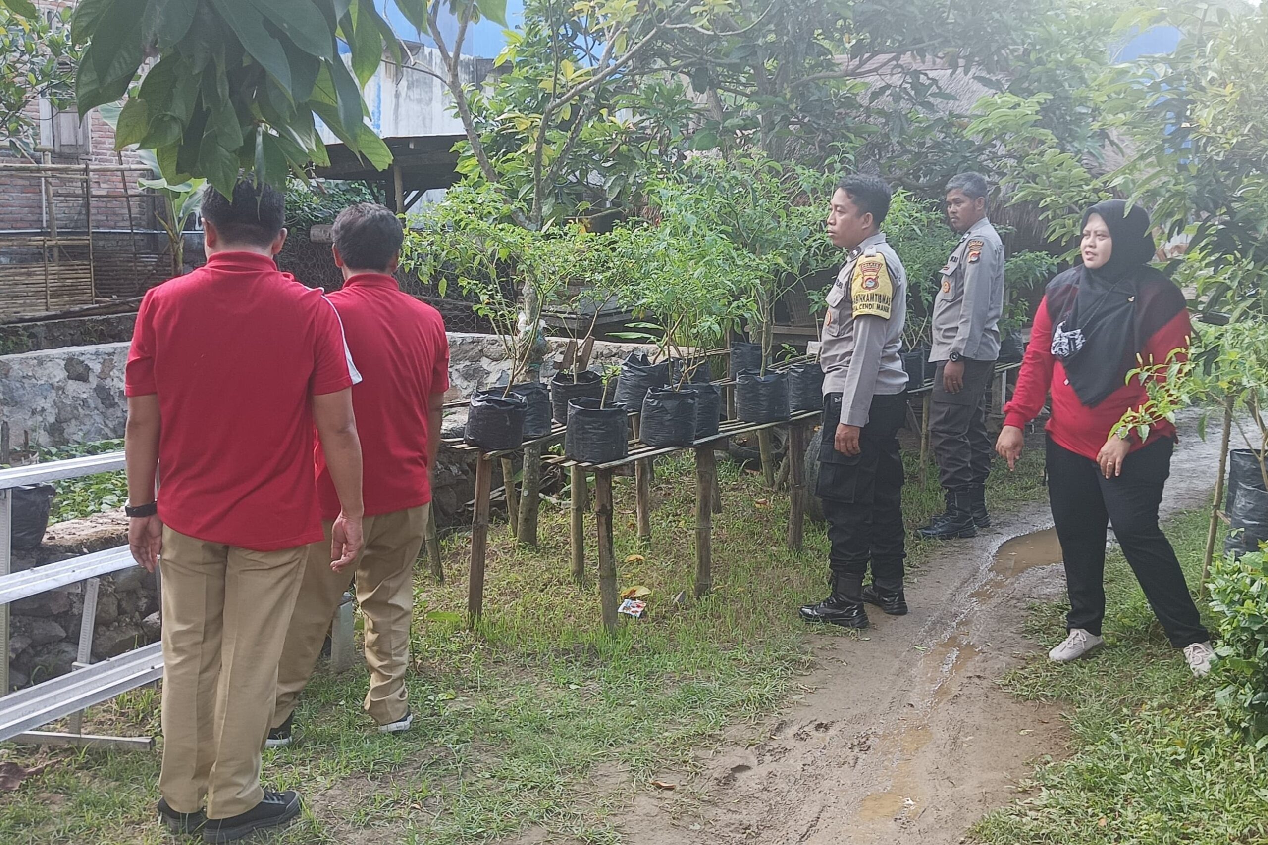Kolaborasi Polri dan Pertanian dalam Program Pekarangan Bergizi untuk Ketahanan Pangan