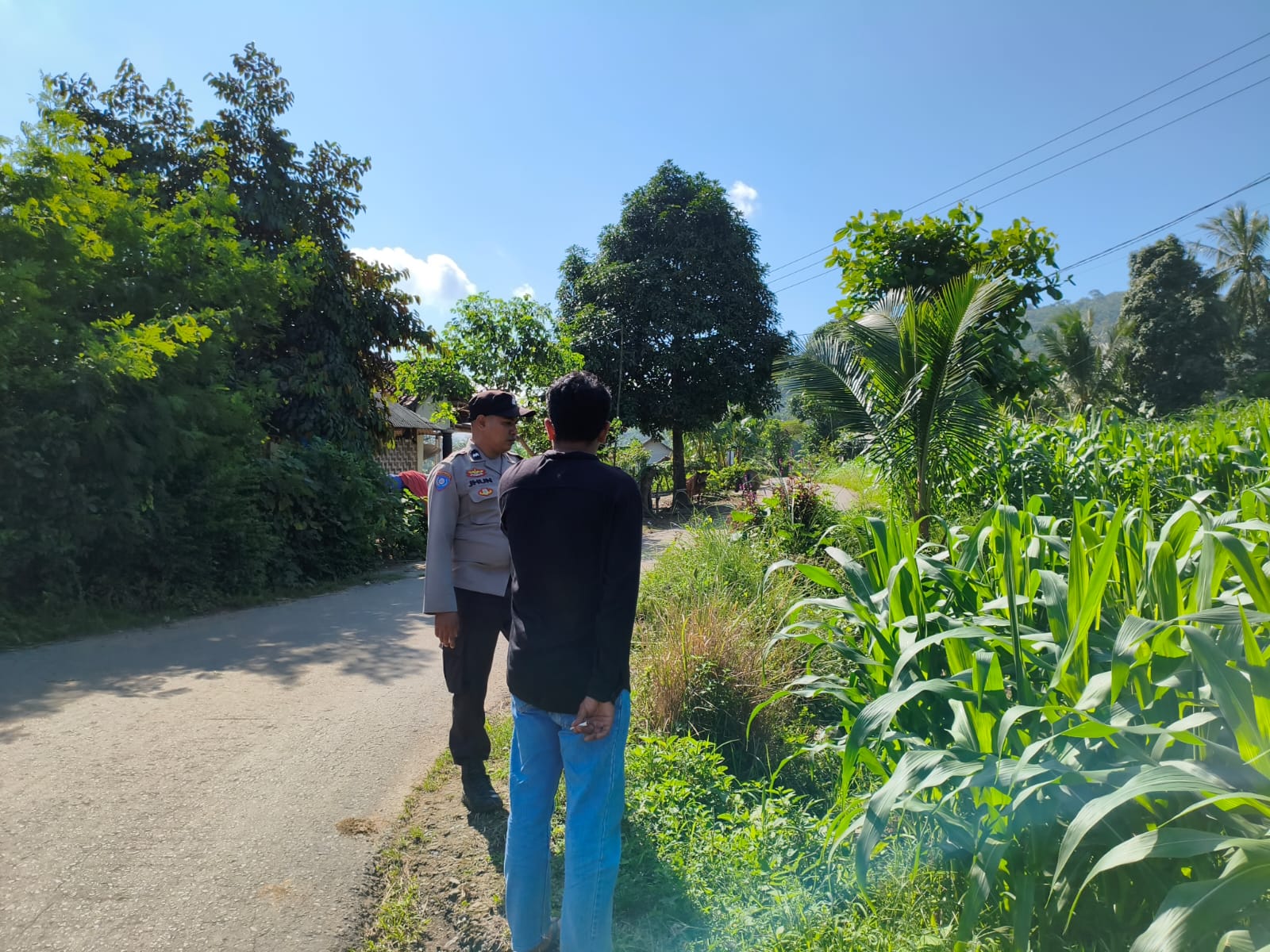 Bhabinkamtibmas Dampingi Petani Jagung di Mareje Timur, Lembar