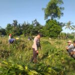 Bhabinkamtibmas Desa Jagaraga Aktif Dorong Ketahanan Pangan Lokal